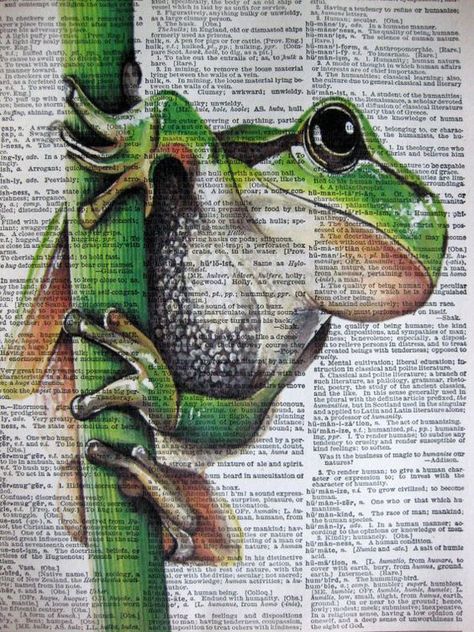 Drawing Mixed Media, Green Tree Frog, Newspaper Art, Book Page Art, Dictionary Art, Frog Art, Tree Frog, Art Animals, Green Tree