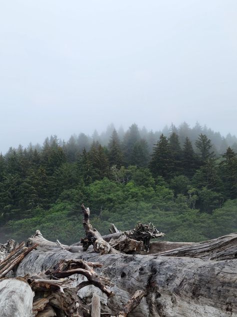 La push Washington photography La Push Aesthetic, I Was Unconditionally And Irrevocably, La Push Washington, Pnw Aesthetic, Story Settings, Forks Washington, Washington Coast, In Love With Him, Story Setting