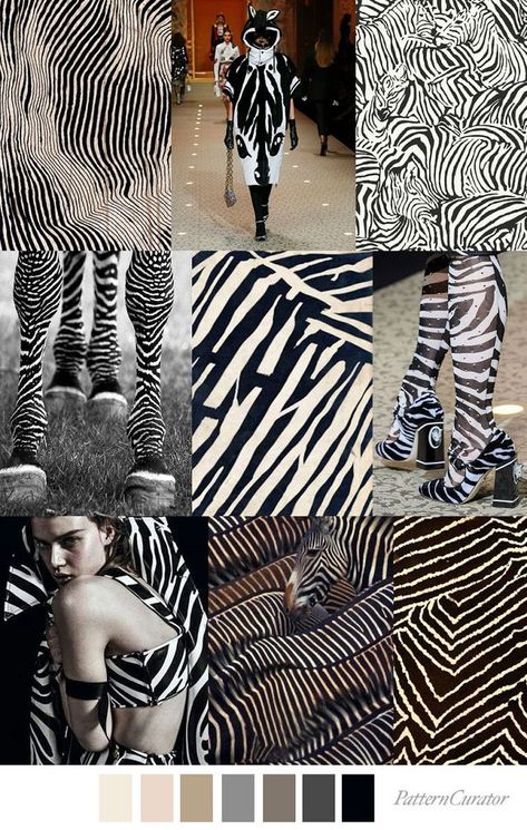 TREND | PATTERN CURATOR - ZEBRA LINES . FW 2019 | FASHION VIGNETTE | Bloglovin’ 2023 Fashion Trends Forecast, Fashion Trend Pattern, Pattern Curator, Fashion Trending Moodboard, Mood Design, Fashion Trend Forecast, Zebras Animal, Color Trends Fashion, Fashion Forecasting