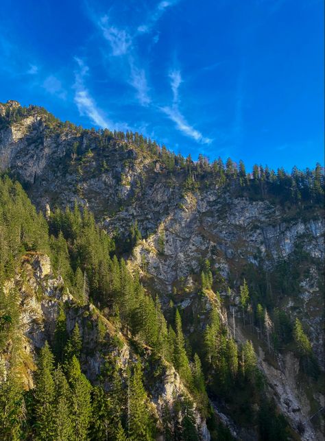 German Nature Aesthetic, Bavarian Alps Germany, German Nature, Nature Photography Aesthetic, Mountain Alps, Germany Nature, Germany Landscape, Bavarian Alps, German Travel