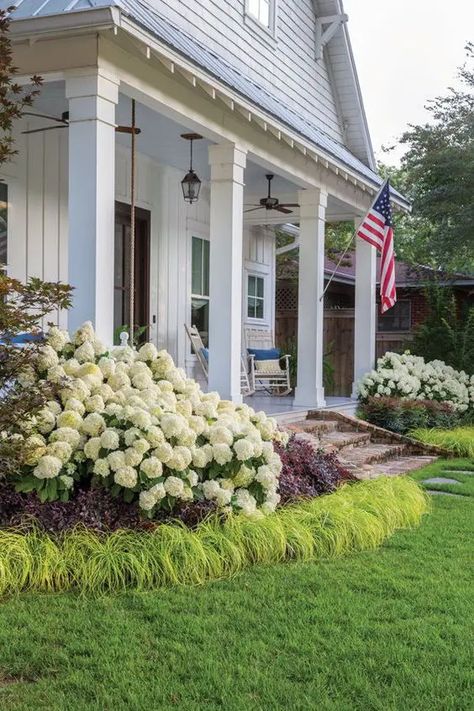 raised flower beds on both sides of the stairs Front House Design Entrance, House Design Entrance, Landscape Ideas For Backyard, Front House Design, Southern Landscaping, Front Porch Landscape, Boxwood Landscaping, Home Decor Plants, Plants Landscape