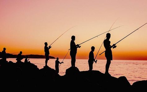 Fishing Sunset, Fish Benefits, Photos Of Fish, Fishing Rods And Reels, Singles Events, Fishing Techniques, River Fishing, Fishing Videos, Catching Fish