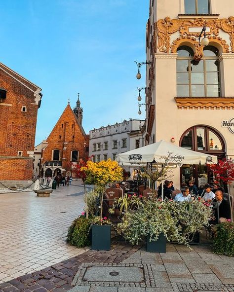 CITY GUIDE TO KRAKOW, POLAND on Instagram: "A beautiful stroll in sunny Krakow ☀️and a coffee break in the loveliest hidden garden☕️🍂🧡 Which photo do you prefer 1-10?📸 P.S. If you’re planning to visit Krakow soon, don’t forget to check out my e-GUIDE👌🏻 It features all my favourite spots in the city, as well as delicious and unique locations, hidden gems, and more!👌🏻 Click the link in profile to read all the details & read reviews ❤️" Things To Do In Krakow Poland, Where To Eat In Krakow, Krakow At Christmas, Best Cafes In Krakow, Jewish Quarter Krakow, Hidden Garden, Krakow, Coffee Break, City Guide