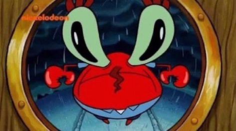 Spongebob Friends, Spongebob Funny Pictures, Spongebob Faces, Spongebob Meme, Spongebob Pics, Mr Krabs, Spongebob Funny, Quality Memes, Goofy Pictures