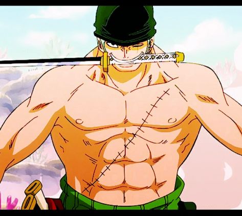 Anime Abs, Anime Bodies, Zoro Roronoa, My Shirt, Zoro One Piece, Hot Anime, Six Packs, Roronoa Zoro, Top 20