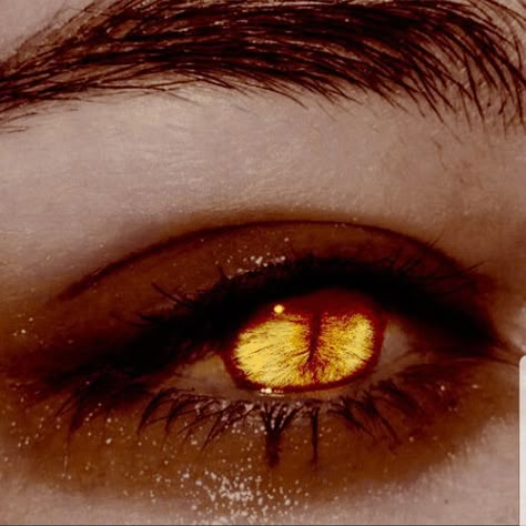 Golden Eyes, Dragon Eye, Aesthetic Eyes, Gold Eyes, Yellow Eyes, 판타지 아트, Anime Eyes, Pretty Eyes, Eye Art