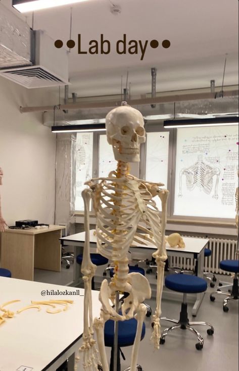 Physiology Aesthetic, Medical Physics, Anatomy Lab, Science Aesthetic, Dental Aesthetics, Student Aesthetic, Picture Of Doctor, Student Life Hacks, Student Planner