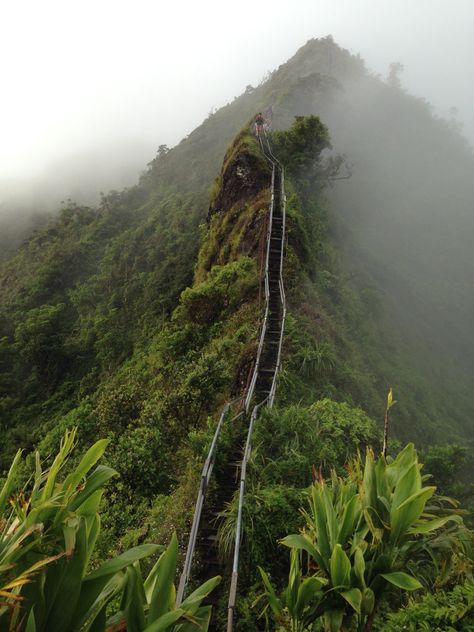 Stairway to Heaven Stairway To Heaven Hawaii, Staircase To Heaven, Haiku Stairs, Hawaii Pictures, Aloha Hawaii, Stairway To Heaven, Hawaii Island, To Heaven, Hawaii Travel