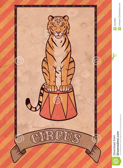 Vintage Circus Illustration, Tiger - Download From Over 37 Million High Quality Stock Photos, Images, Vectors. Sign up for FREE today. Image: 42018655 Circus Tiger Illustration, Circus Tiger, Circus Illustration, Surreal Tattoo, Circus Wedding, Tiger Illustration, Circus Animals, Circus Art, Evil Clowns