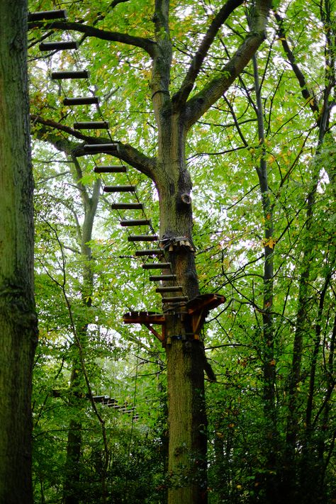 Take to the treetops on an adventure of tree climbing rope courses. See more from our Seine River Cruise! Tree Climbing Rope, Seine River Cruise, Covered Back Patio, Model Citizen, Tree Climbing, Seine River, Ropes Course, Landscape Photography Tips, Nikon D3200