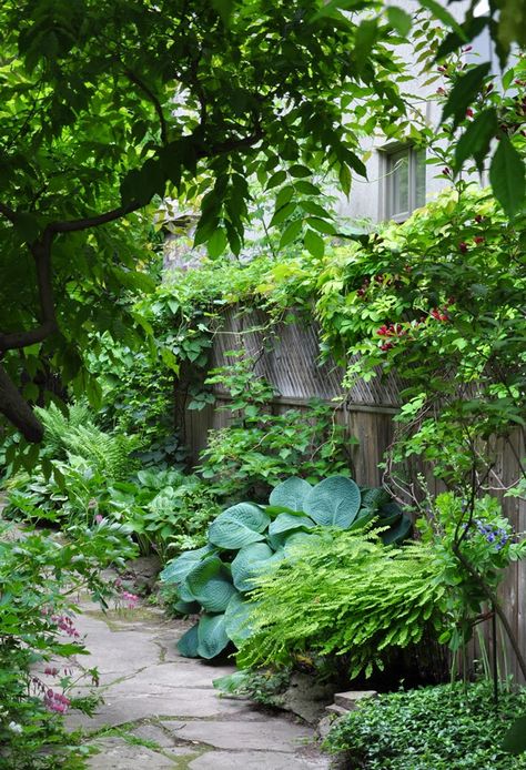 More Ideas for the Narrow Garden Between Suburban Homes Pathway Design, Stone Garden Paths, Shade Garden Design, Narrow Garden, Shade Garden Plants, Sloped Garden, Magic Garden, Side Garden, Garden Pathway