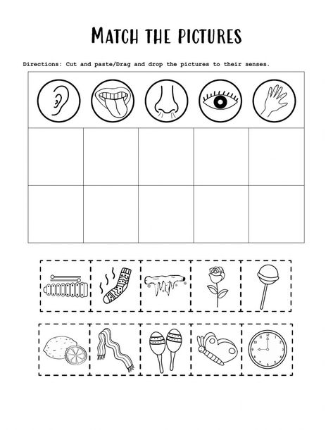 Worksheet 5 Senses, Five Senses For Kindergarten, 5 Senses Worksheet For Grade 1, My Senses Worksheets, The Senses Activities For Kids, Five Senses Preschool Worksheets, Five Senses Sorting Free Printable, 5 Senses Preschool Printables Free, My Five Senses Activities For Preschool