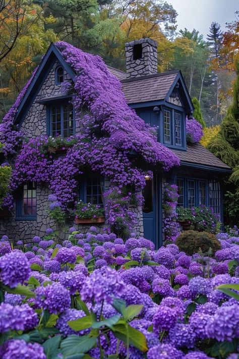 Purple Houses, Lilac House, Purple Cottage, Lavender Cottage, Boho Style Bedroom, Dream Mansion, Quaint Cottage, Patio Garden Design, Dream Cottage