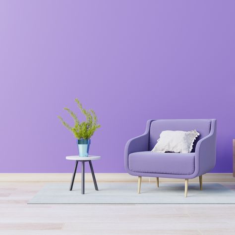 Shades Of Purple Wall Paint, Purple Walls Living Room, Purple Wall Color, Purple Wall Paint, Light Purple Walls, Dance Studio Decor, Lavender Walls, Room Color Combination, Bunny Room