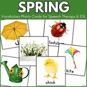 Spring vocabulary | TPT Spring Vocabulary, Kindergarten Education, Learning Vocabulary, 1st Grade Writing, Articulation Therapy, Elementary Teaching, Teacher Products, Spelling Activities, Vocabulary Cards