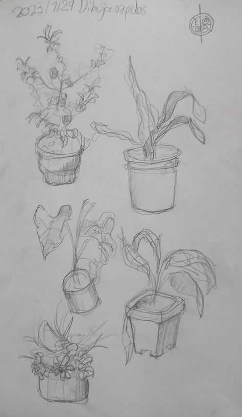 Gardener Drawing, Plant Sketches, Plant Study, Linear Art, Body Shape Drawing, Drawing Studies, Plant Drawing, Arte Inspo, Sketches Easy