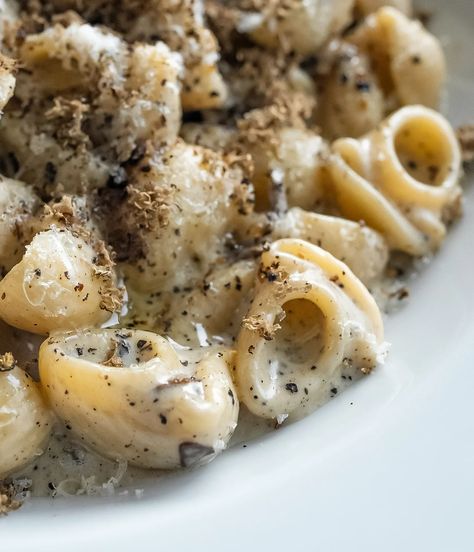 Creamy Black Truffle Shellbows by breadbakebeyond Spicy Spaghetti, Truffle Pasta, Ricotta Toast, Caprese Sandwich, Creamy Mushroom Pasta, Parmesan Cream Sauce, Truffle Butter, Cremini Mushrooms, Mushroom Pasta