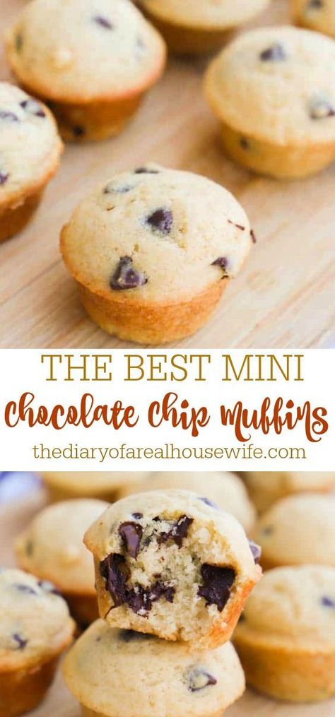 Easy Chocolate Chip Muffins, Chocolate Chip Muffins Easy, Mini Muffin Recipe, Choc Chip Muffins, Muffins For Breakfast, Mini Chocolate Chip Muffins, Chocolate Chip Muffin Recipe, Simple Muffin Recipe, Muffin Tin Recipes