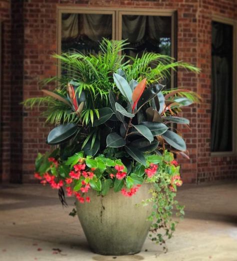 Patio Flower Pots, Big Pots, Summer Planter, Patio Flowers, Porch Flowers, Container Garden Design, Potted Plants Outdoor, Large Flower Pots, Container Gardening Flowers