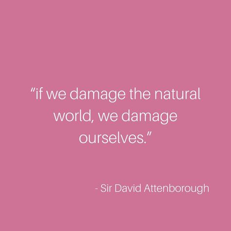 One of my favorite quotes from Sir David Attenborough at the 2019 World Economic Forum Annual Meeting held in Davos, Switzerland. . . .… Tog Quotes, David Attenborough Quotes, Intentional Living Quotes, Davos Switzerland, My Favorite Quotes, Save Our Earth, Noah Kahan, David Attenborough, Blue Planet