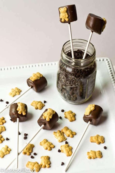 Smores Pops, Teddy Bear Picnic Birthday Party, Teddy Bear Baby Shower Theme, Teddy Bear Birthday Party, Bear Baby Shower Theme, Teddy Grahams, Bear Recipes, Picnic Birthday Party, Teddy Bear Party