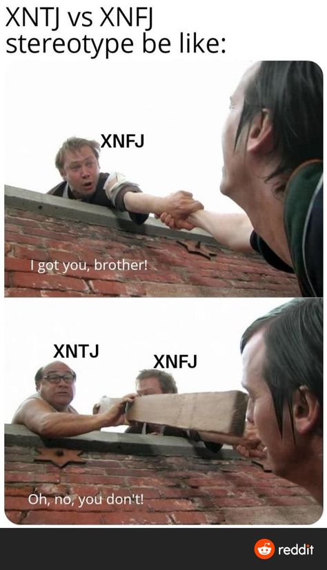 Intj vs infj Enfj Entj Relationship, Funny Mbti Memes, Entj Memes Funny, Entp And Infj Funny, Intj And Infj Relationships, Entj Memes, Mbti Couples, Entj Relationships, Entj And Infj