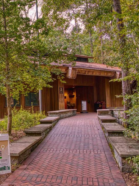 Find Your Peace and Adventure in Congaree National Park Visitor Center Interior, Park In Autumn, Congaree National Park, Find Your Peace, South Carolina Travel, Dream Trips, Bald Cypress, Kiawah Island, Ancient Forest