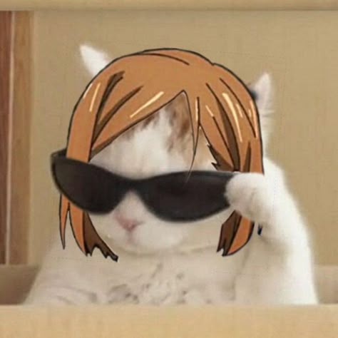 Jjk Cat Pfp, Gojo Cat Icon, Anime Pfp Cat, Nobara Cute, Chibi Nobara, Nobara Kugisaki Pfp, Nobara Aesthetic, Kugisaki Nobara Icons, Anime Cat Pfp