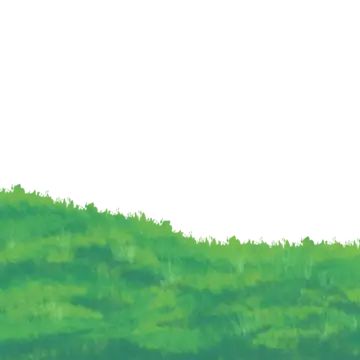 green,grass,illustration,green grass,cartoon grass,plant,green plants,spring,flowers,grass illustration,green grassland,grassland,vegetation,beautiful grass,nature,lawn,cartoon green grass,grass growth,cartoon green grass illustration,green grass cartoon illustration,midjourney,plant grass illustration,free,green leaf,season,green grass decoration illustration,outdoor grassland Cartoon Island, Cartoon Grass, Grass Decoration, Grass Drawing, Grass Illustration, Grassy Hill, Decoration Illustration, Cartoon Green, Grasses Landscaping