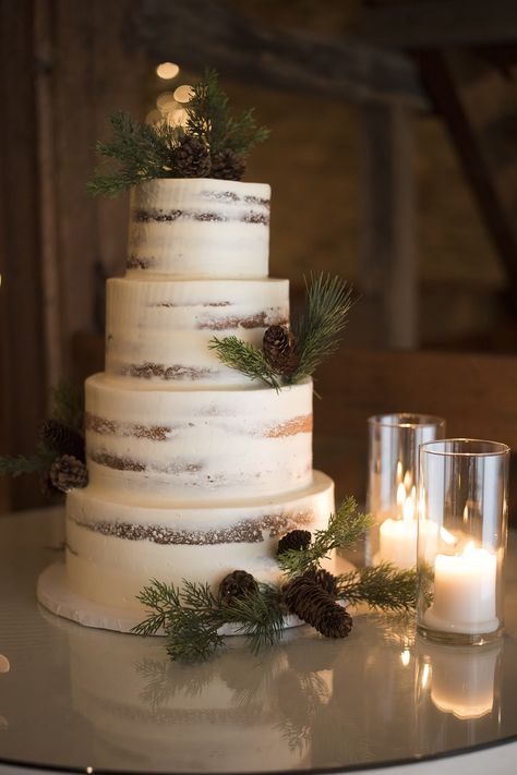 Winter Wedding Cake And Cupcakes, Winter Minimalist Wedding, Fairy Winter Wedding, One Tier Winter Wedding Cake, Wedding Cake Winter Elegant, Wedding In The Winter, Elegant Winter Wedding Cake, Winter Wedding Cakes Elegant, January Wedding Cake