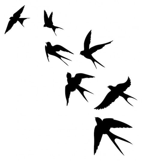 Silhouette Arte, Bird Silhouette Tattoos, Noir Tattoo, Bird Silhouette Art, Flying Bird Silhouette, Tiny Bird Tattoos, Bird Outline, Vogel Tattoo, Bird Stencil