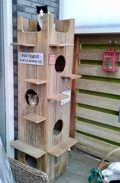 Outdoor Cat Tower, Rental House Plans, Outdoor Cat House Plans, Outside Cat Shelter, Insulated Cat House, Outside Cat House, Cat House Plans, Outdoor Cat Shelter, Feral Cat Shelter