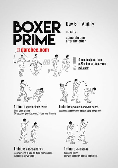 Boxer Prime: 30-Day Fitness Program Boxer Prime, Punching Bag Workout, Boxer Workout, Boxing Workout Routine, Home Boxing Workout, Fighter Workout, Boxing Training Workout, Boxing Drills, Mma Workout