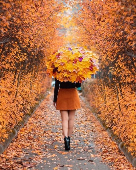 Autumn Umbrella, Fall Season Pictures, Fall Photo Shoots, Autumn Photoshoot, Fall Portraits, Film Photography Tips, Fall Family Pictures, Photo Editing Techniques, Fall Photo