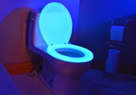 Pin for Later: The Most Wonderfully Wacky Things That SkyMall Sells  Night Glow Toilet Seat ($50) Dark Toilet, Bathroom Illumination, Assisted Living Homes, Neon Noir, New Toilet, Toilet Seats, Camper Living, Guest Bathrooms, Assisted Living