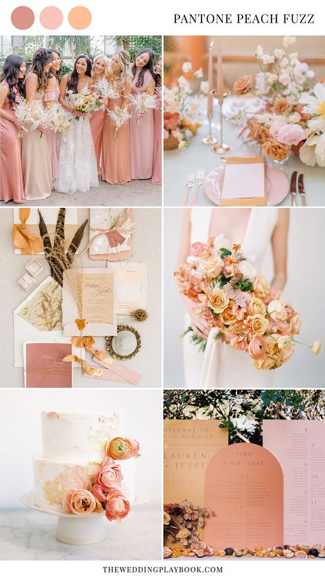 Terracotta And Blush Wedding Flowers, Fall Pastel Wedding Colors, Italian Wedding Color Schemes, Salmon Wedding, Peach Wedding Colors, Pastel Wedding Theme, Pastel Wedding Colors, Wedding Theme Color Schemes, Wedding Color Schemes Spring