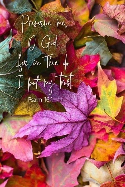 Jigidi Puzzles, Fall Bible Verses, Book Of Psalms, Bible Quotes Images, Bible Love, Bible Study Verses, Scripture Reading, Biblical Verses, Prayer Scriptures