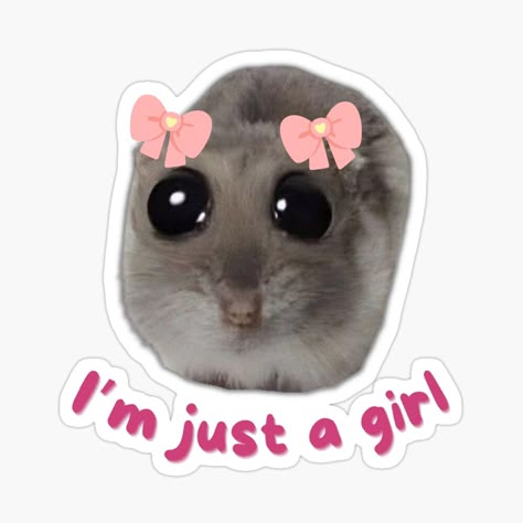 Get my art printed on awesome products. Support me at Redbubble #RBandME: https://www.redbubble.com/i/sticker/I-m-just-a-girl-sad-hamster-TikTok-meme-by-ARTmhmood/159259656.EJUG5?asc=u Weird Stickers, Funny Laptop Stickers, Images Emoji, Sticker Design Inspiration, Preppy Stickers, Iphone Stickers, Cute Laptop Stickers, Scrapbook Stickers Printable, Emoji Stickers