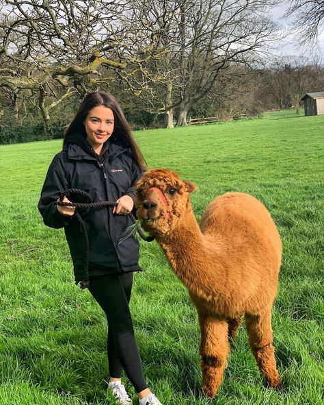 derv on Instagram: “realistically the alpaca walked me” Inspo Pics, Instagram Inspo, Alpaca, Walking, On Instagram, Quick Saves, Instagram