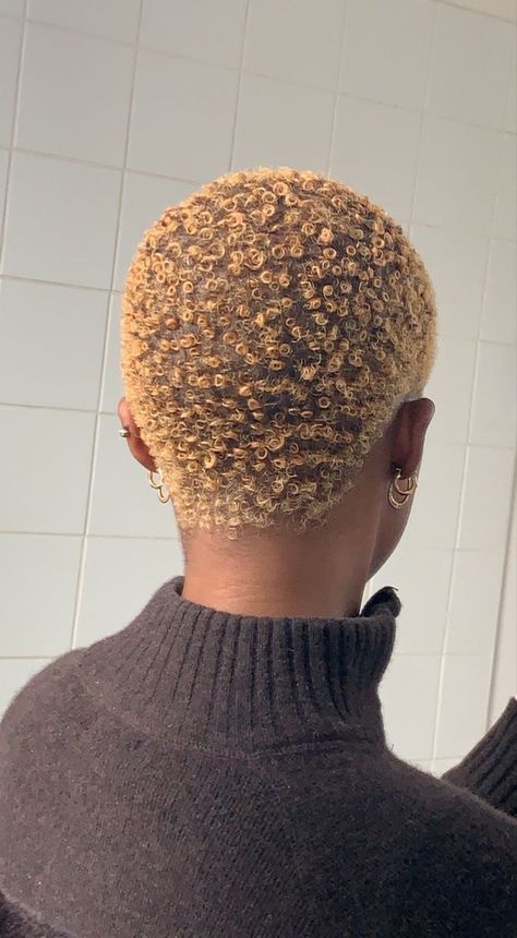 Short African Haircut, Big Chop Aesthetic, Dyed Twa Natural Hair, Black Short Hair Styles African American, Colour Hair Ideas Short, Short Dyed Hair Ideas, Short Hair Colour Ideas, Short Dyed Hair Black Women, Low Cut Hairstyles