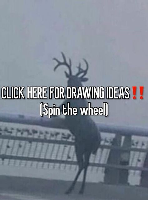 Drawing prompts Spin Wheel, Draw Your Oc, Drawing Ideas List, Cute Website, Drawing Prompts, Creative Drawing Prompts, Drawing Prompt, Things To Do When Bored, What To Draw