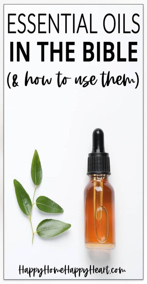 Essential oils have been used for thousands of years. The Bible mentions essential oils over 600 times. Read this post to learn more about the essential oils of the Bible & their uses. #EssentialOils #YoungLiving #YLEO #ChristianLiving #NaturalLiving Theives Oil Recipe, Simmer Scents, Oils Of The Bible, Messianic Prophecies, Hyssop Essential Oil, Essential Oils Business, Essential Oils For Pain, Essential Oil Remedy, Essential Oils Cleaning