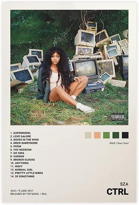 Ctrl Album Cover, Sza Poster, Sza Singer, Tattoos Infinity, Tattoos Mandala, Inspiration Tattoo, Tattoos Geometric, Poster Music, Tattoos Skull