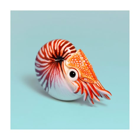 Animal Fine Art Print Nautilus square size | Etsy Nautilus Art, Miniature Clay, Beautiful Sea Creatures, 10 Pm, Polymer Clay Animals, Extinct Animals, Aquatic Animals, Clay Animals, Ceramics Pottery Art