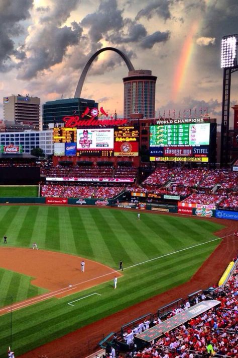 St. Louis Rainbow Coaching Baseball, Travel Missouri, Lobelia Cardinalis, Stl Cardinals Baseball, St Louis Arch, Mlb Stadiums, Busch Stadium, Baseball Park, St Louis Cardinals Baseball