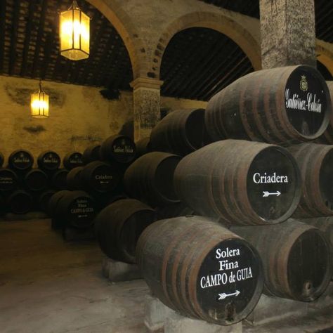 Sherry is fortified wine that is made using a system called the "Solera," which is seen in the photo here. Barrels are stacked in layers called "criaderas." Wine is removed for bottling only from the bottom layer, which is then refilled from the layer above it and so on. Wine from the most recent harvest is added to the top layer. This helps maintain a consistent style. It also means that there could be a small portion of wine in the solera that is as old as when the solera was first assembled. Wine In Spain, Navy Couple, Maria Theresa Of Spain, Grape Arbor, Spain Wine Regions, Sherry Wine, Wine Merchant, Fortified Wine, Sherry Vinegar