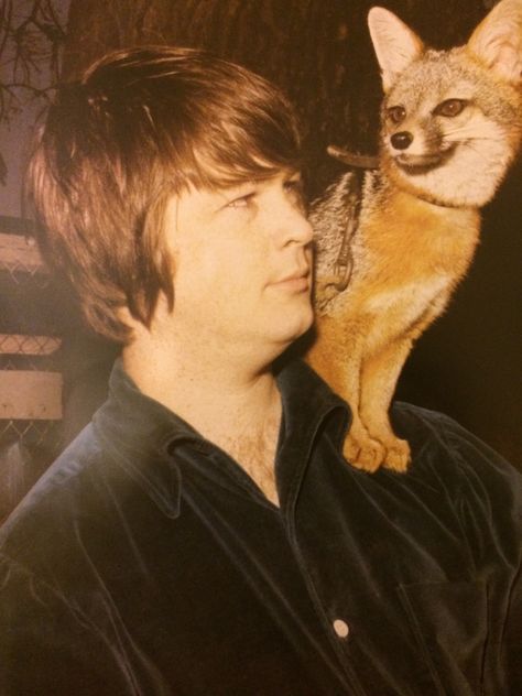 Brian Wilson Brian Wilson 60s, Pet Sounds Beach Boys, Wilson Brothers, America Band, Carl Wilson, David Marks, Dennis Wilson, Album Tracklist, Mike Love