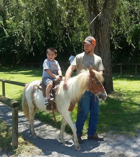 Pony Riding, Mountain Deer, Deer Farm, Tennessee State Parks, Fairy Tale Illustrations, Sevierville Tennessee, Farming Ideas, Adoption Party, Pony Rides