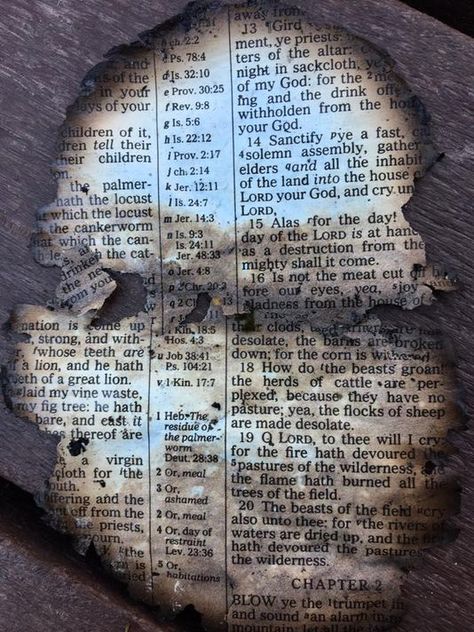 Isaac McCord, a Dollywood employee, says he found a burned Bible page at the park the day after wildfires tore through Sevier County. The page, an excerpt from Joel chapter one, reflects the tragedy of the disaster, he said. (Photo: Isaac McCord) 11-29-2016 Bible Pages, The Day After, Chapter One, Lord And Savior, Gatlinburg, King James Version, Jesus Loves, Word Of God, Gods Love