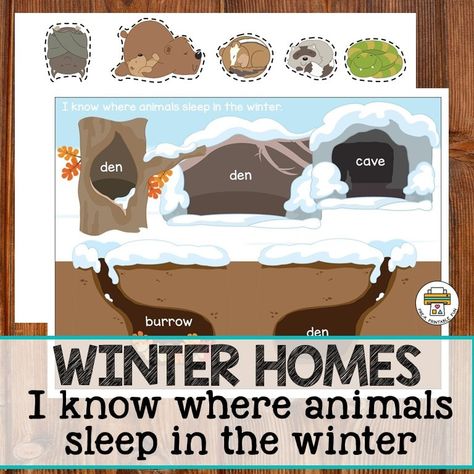 Preschool Bear Hibernation Activities, Animals In The Winter Preschool, Free Hibernation Printables, Pre K Hibernation Activities, Pre K Arctic Animals, Hibernation Activities Preschool, Hibernation Activities For Toddlers, Animal Activities Preschool, Kindergarten Hibernation